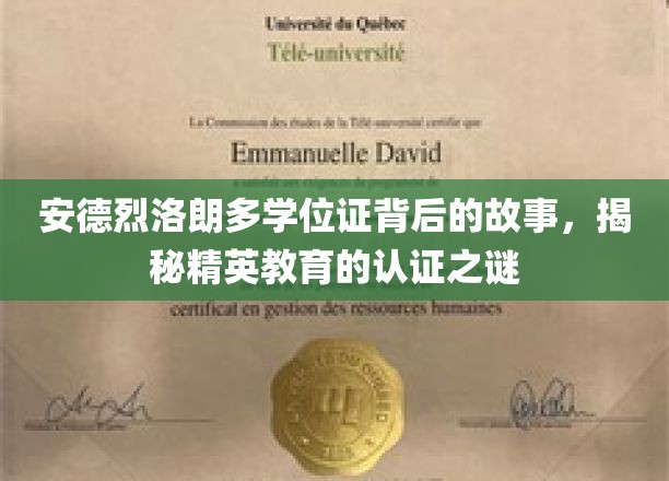 精英认证之谜，安德烈洛朗多学位证背后的传奇故事