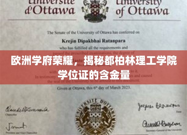 探寻都柏林理工学院学位证的欧洲黄金价值