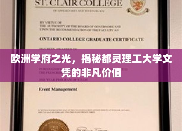 都灵理工大学文凭，欧洲教育界的璀璨明珠