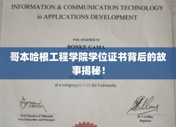 哥本哈根工程学院学位证书，探寻背后的传奇历程