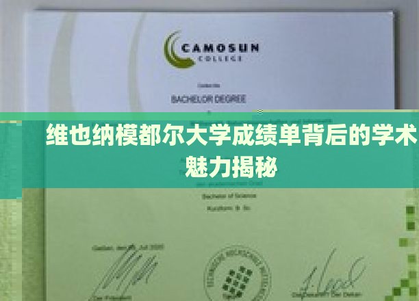 揭开维也纳模都尔大学成绩单的学术奥秘，探寻非凡学术之旅