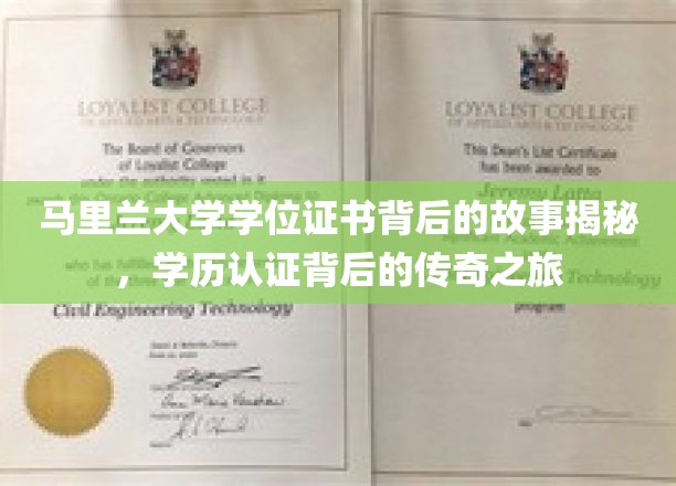 马里兰大学学位证书背后的故事揭秘，学历认证背后的传奇之旅