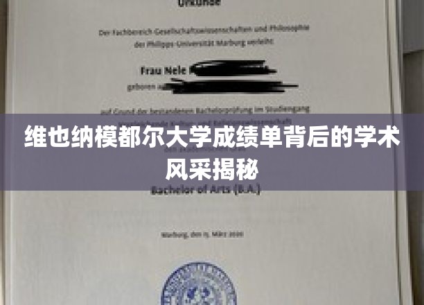 探索维也纳模都尔大学成绩单下的璀璨学术魅力