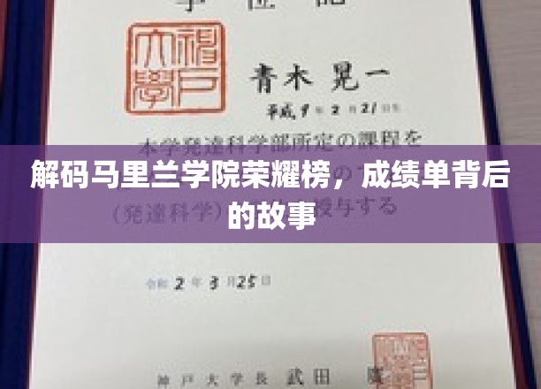 马里兰学院荣耀榜揭秘，一纸成绩单背后的奋斗传奇
