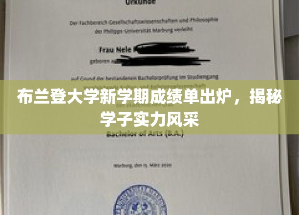 布兰登大学新学期成绩单出炉，揭秘学子实力风采