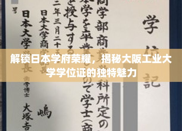 探索日本学府之光，揭秘大阪工业大学学位证的独特魅力