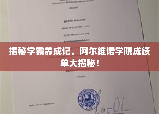揭秘学霸养成记，阿尔维诺学院成绩单大揭秘！