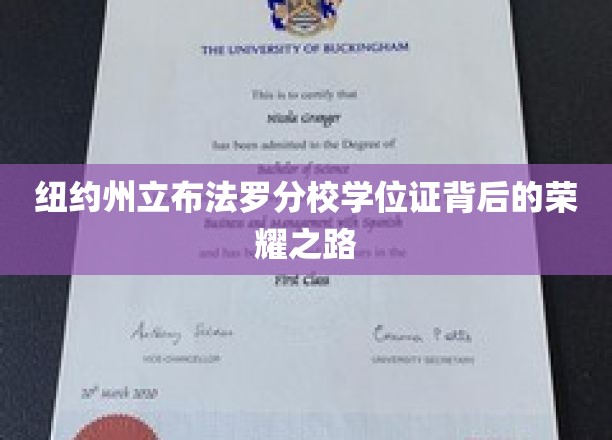 纽约州立布法罗分校学位证背后的荣耀之路