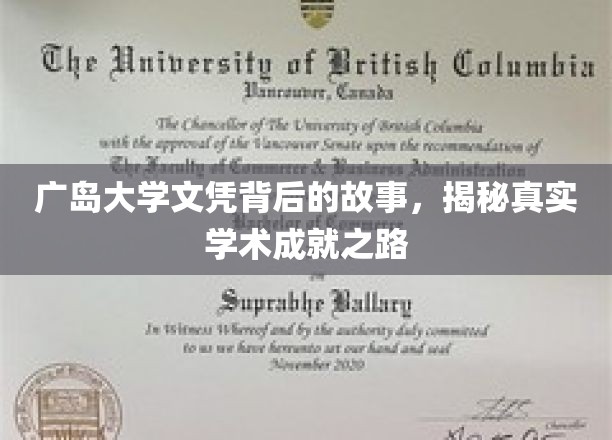 广岛大学文凭背后的故事：揭秘真实学术成就之路