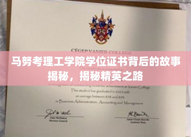 马努考理工学院学位证书背后的故事揭秘，揭秘精英之路