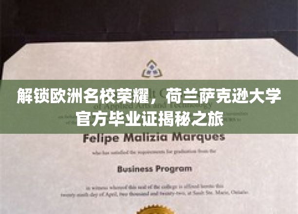 揭秘荷兰萨克逊大学官方毕业证书，探寻欧洲名校荣耀之旅