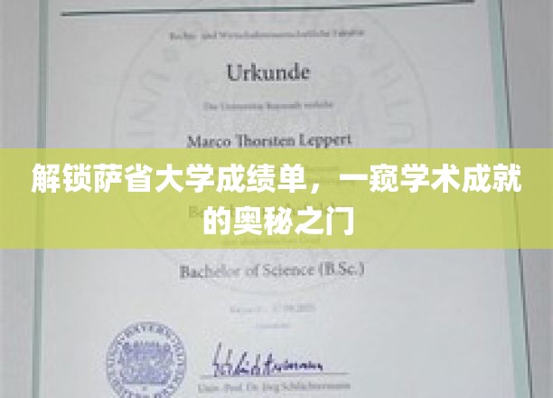 解锁萨省大学成绩单，洞悉学术成就的奥秘之门