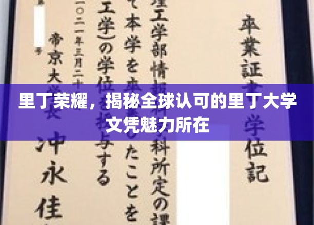 探寻里丁大学文凭的全球认可魅力，里丁荣耀背后的秘密揭晓