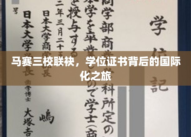 马赛三校携手共进，探索学位证书背后的全球视野之旅