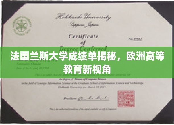 解码兰斯大学成绩单，探寻欧洲高等教育的独特魅力