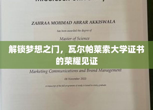 梦想启航点，瓦尔帕莱索大学证书，成就非凡荣耀之旅