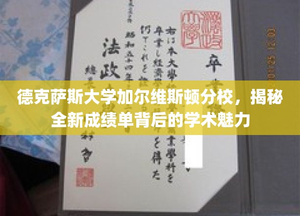 解码德克萨斯大学加尔维斯顿分校，成绩单革新背后的学术风采