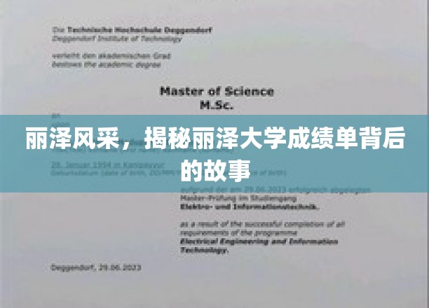 丽泽之光，探寻成绩单背后的精彩人生轨迹