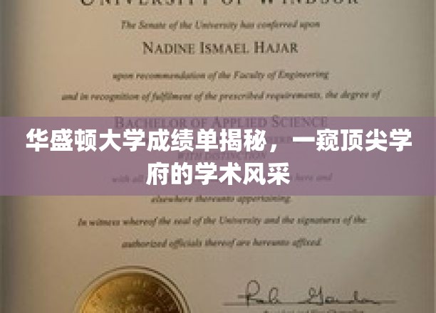 华盛顿大学成绩单背后，揭秘世界级学术殿堂的秘密面纱