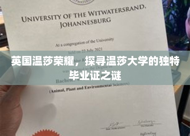 解码温莎荣耀，揭秘温莎大学独树一帜的毕业证奥秘