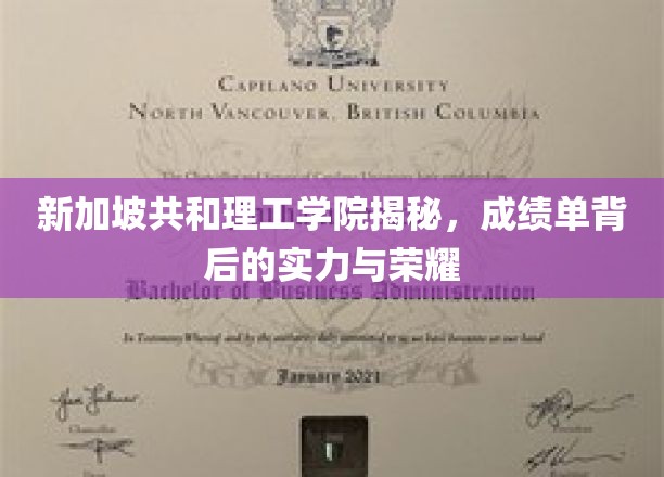 解码新国理工，揭开学子成就的神秘面纱