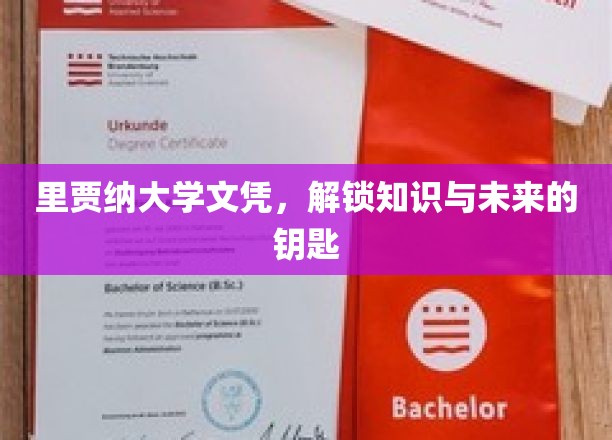 里贾纳大学文凭，解锁知识与未来的钥匙