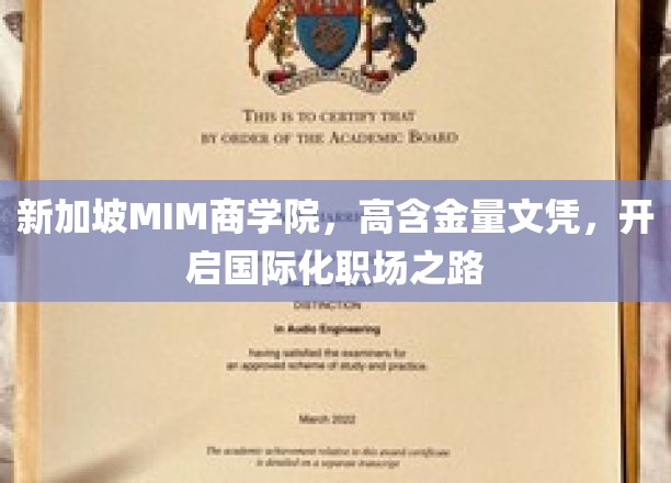 新加坡MIM商学院，高含金量文凭，开启国际化职场之路