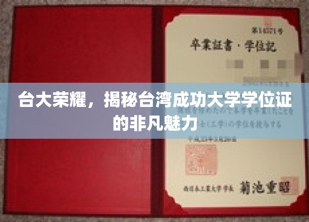 台湾成功大学学位证，台大荣耀背后的独特魅力揭秘