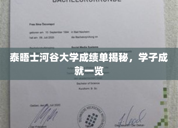 泰晤士河谷大学学子风采展，揭秘成绩单背后的辉煌成就