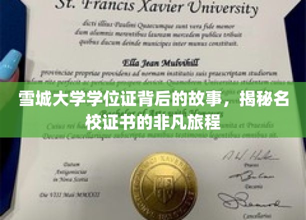 雪城大学学位证背后的故事，揭秘名校证书的非凡旅程