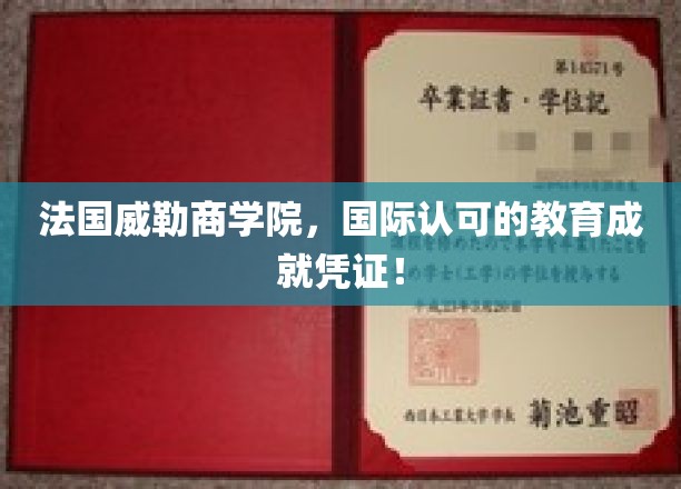 解锁全球视野，威勒商学院——国际教育认证的璀璨明珠