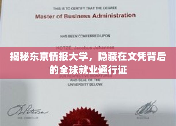 东京情报大学，学历背后的国际职场通行证，揭开就业新篇章
