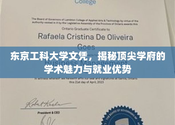 解码东京工科大学，文凭背后的学术光辉与职场竞争力