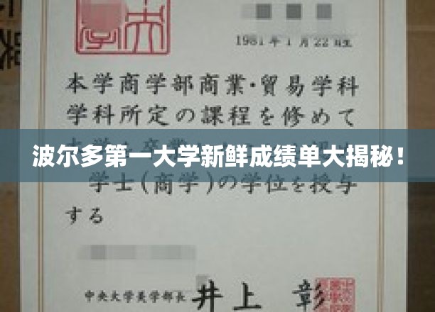 波尔多第一大学学霸榜，成绩单背后的惊喜与启示