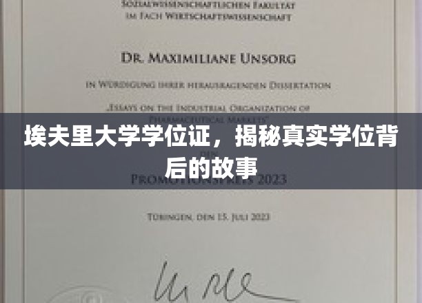 埃夫里大学学位证，揭秘真实学位背后的故事