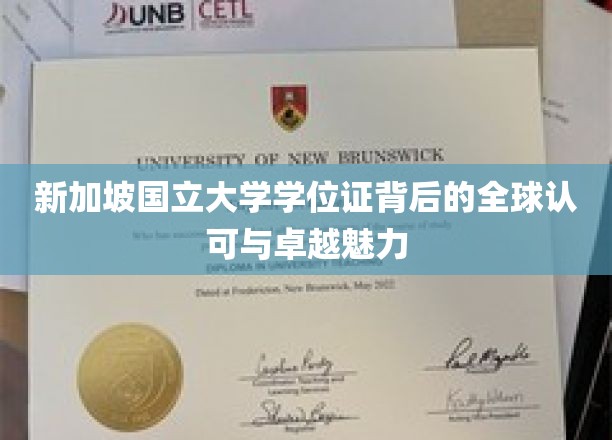 新加坡国立大学学位证，国际通行证，闪耀全球的学术荣耀之光