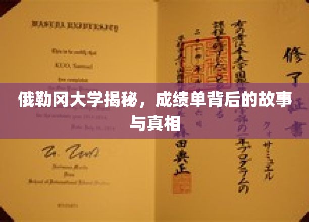 俄勒冈大学揭秘，揭开成绩单背后的神秘面纱