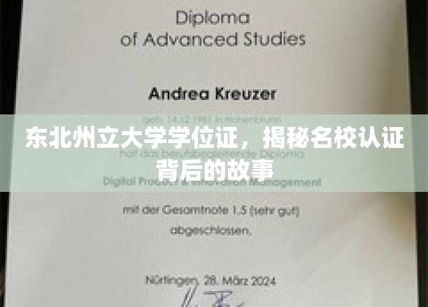 东北州立大学学位证，揭秘名校认证背后的故事