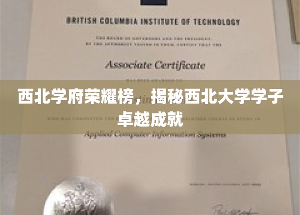 西北骄子风采录，西北大学精英成就瞩目全解析