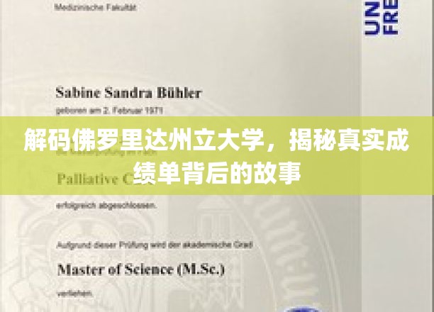 佛罗里达州立大学揭秘，成绩单背后的惊人真相大揭秘