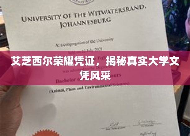 艾芝西尔荣耀凭证大揭秘，探寻高学历背后的真实风采
