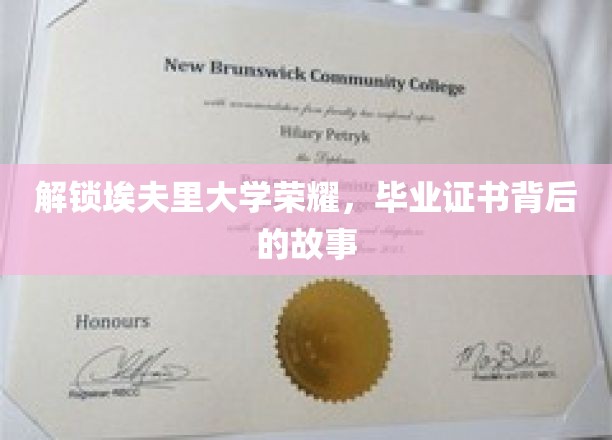 埃夫里荣耀揭晓，毕业证书背后的不凡历程