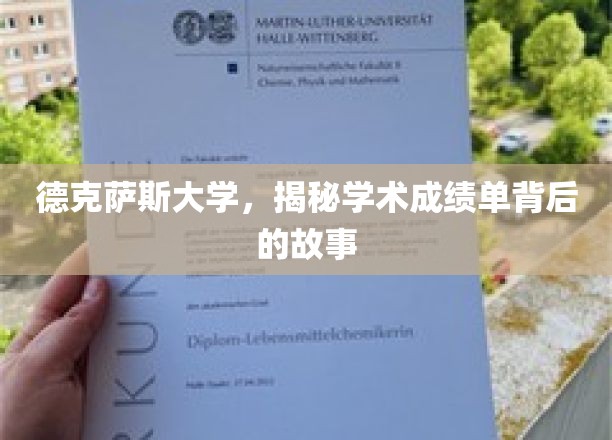 德克萨斯大学，揭秘学术成绩单背后的故事