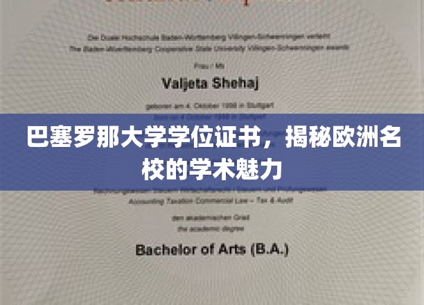 解锁巴塞罗那大学，探寻欧洲顶尖学府的学术风采