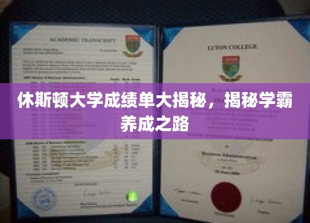休斯顿大学成绩单大揭秘，揭秘学霸养成之路