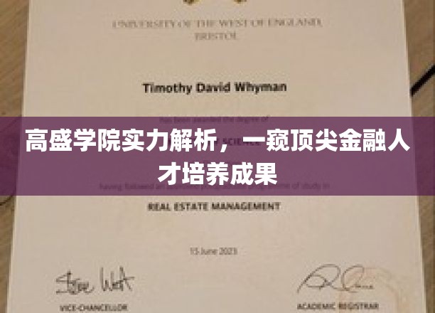 解码高盛学院，揭秘顶尖金融人才的摇篮与养成之路