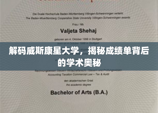 解码威斯康星大学，探寻成绩单背后的学术精髓