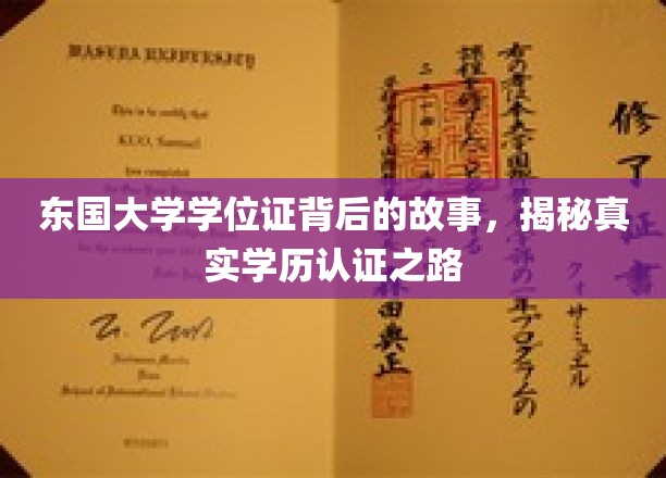 学历认证探秘，东国大学学位证背后的传奇旅程