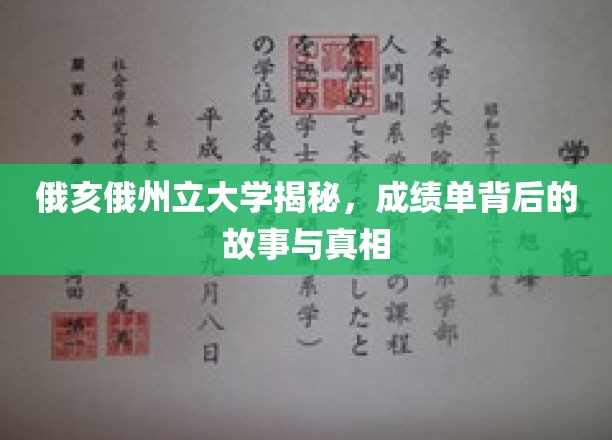 解码俄亥俄州立，揭秘成绩单背后的真实面纱