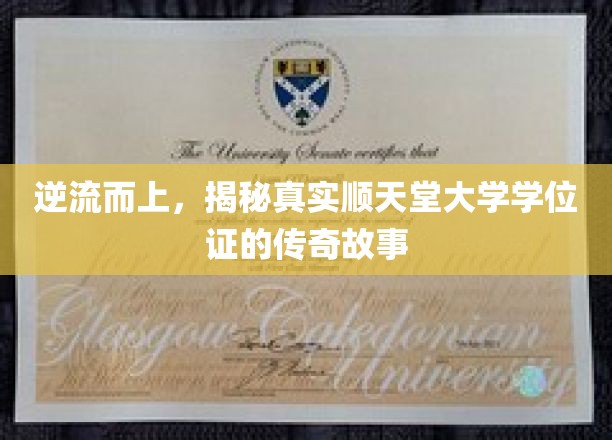 顺天堂大学学位证背后的传奇征程，逆流而上的真实传奇